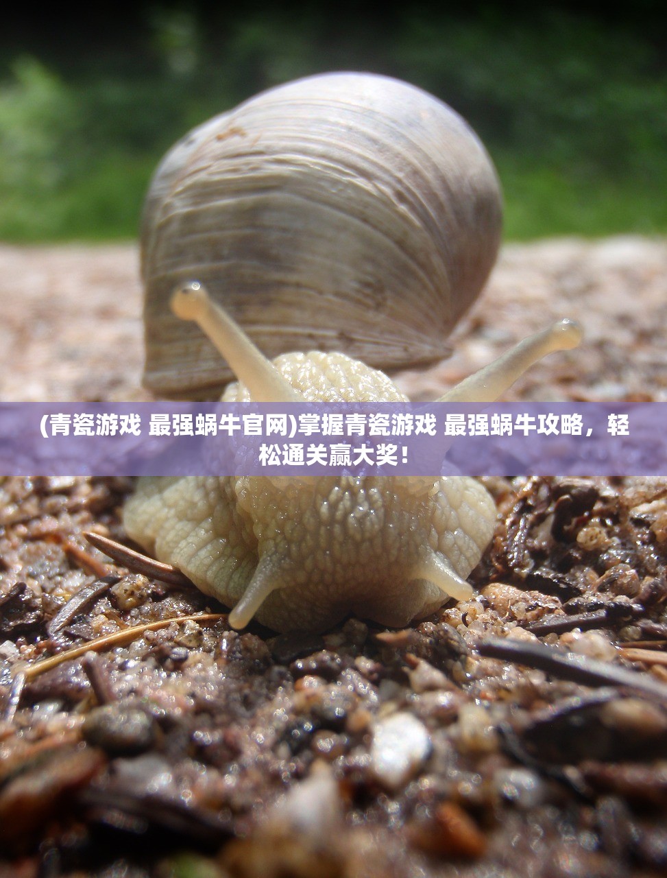 澳门一码一肖一恃一中312期|清新生活小技巧大公开_初学款.5.487
