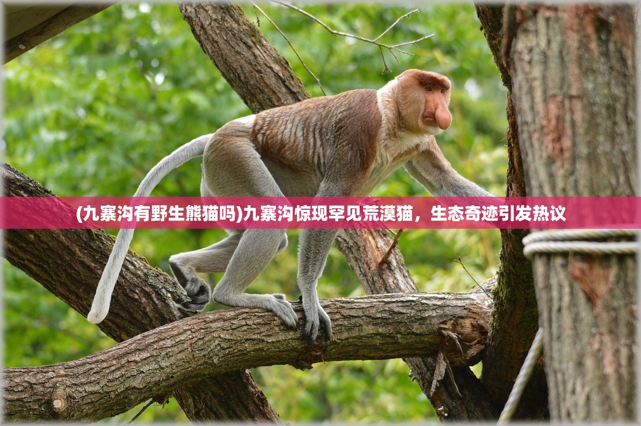 2024澳门天天开好彩大全53期|保证资料解读的准确性与实用性_电信版IPHONE.7.814