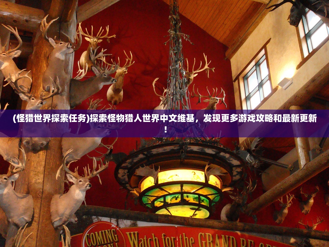 新澳2024最精准免费正版资料|深入分析科技相关成语的内涵_冒险版WSAP.8.387