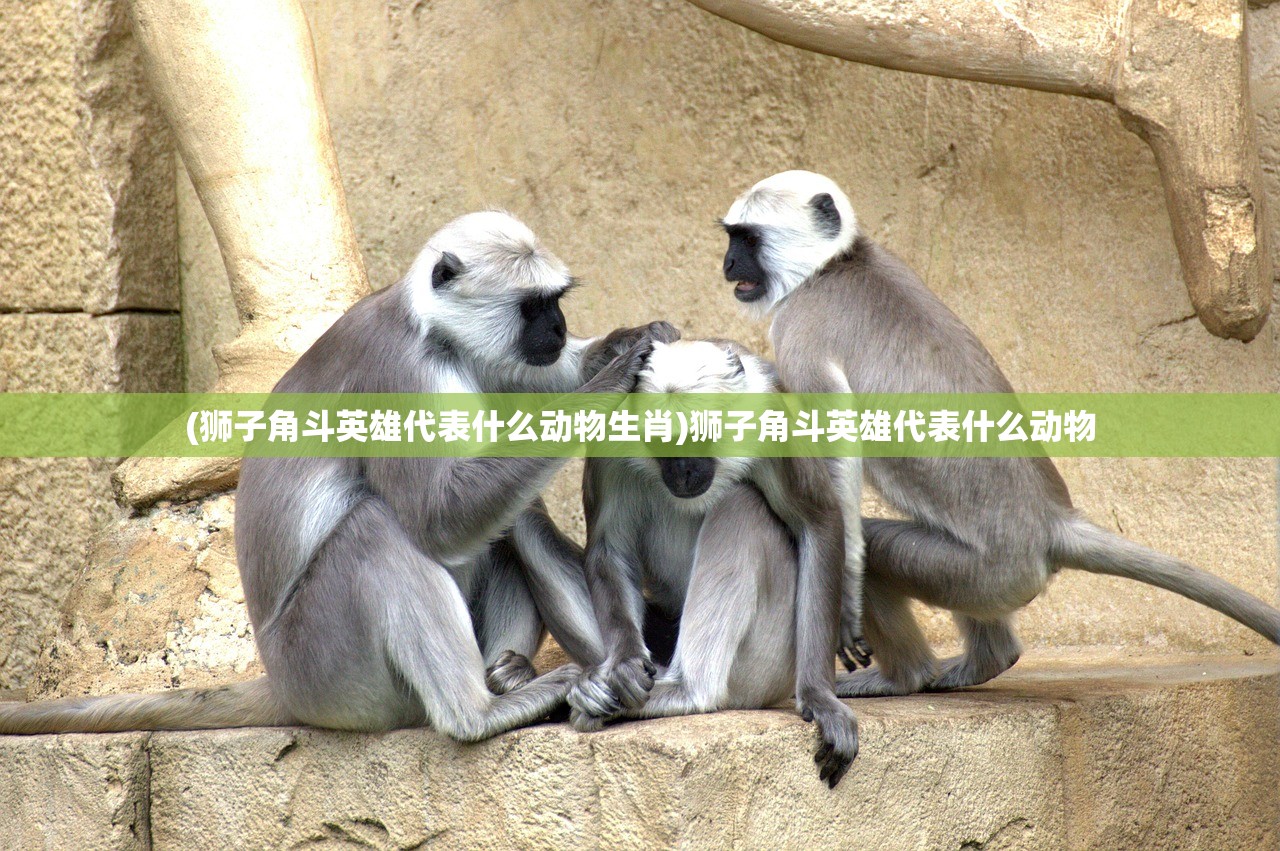 (狮子角斗英雄代表什么动物生肖)狮子角斗英雄代表什么动物