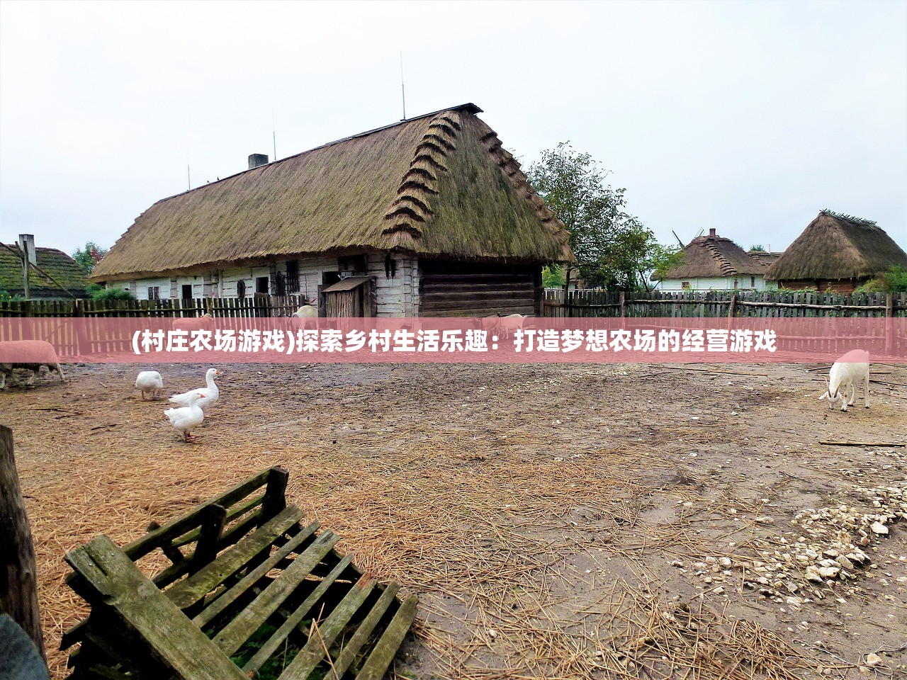 澳门今晚必开一肖一码新闻|数据分析解释落实_改进版.1.447
