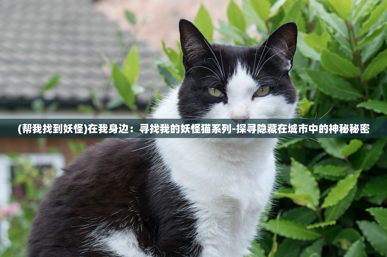 新澳门中特期期期准最简单方法|最新分析解释落实_经典版APP.3.338