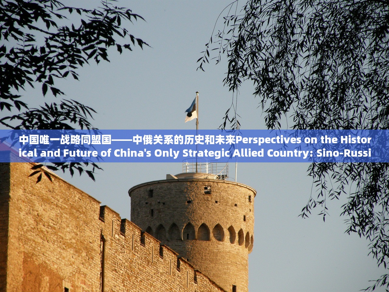 中国唯一战略同盟国——中俄关系的历史和未来Perspectives on the Historical and Future of China's Only Strategic Allied Country: Sino-Russian Relations