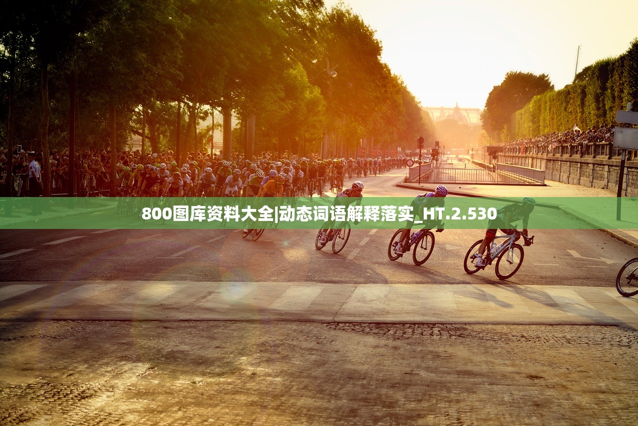 800图库资料大全|动态词语解释落实_HT.2.530