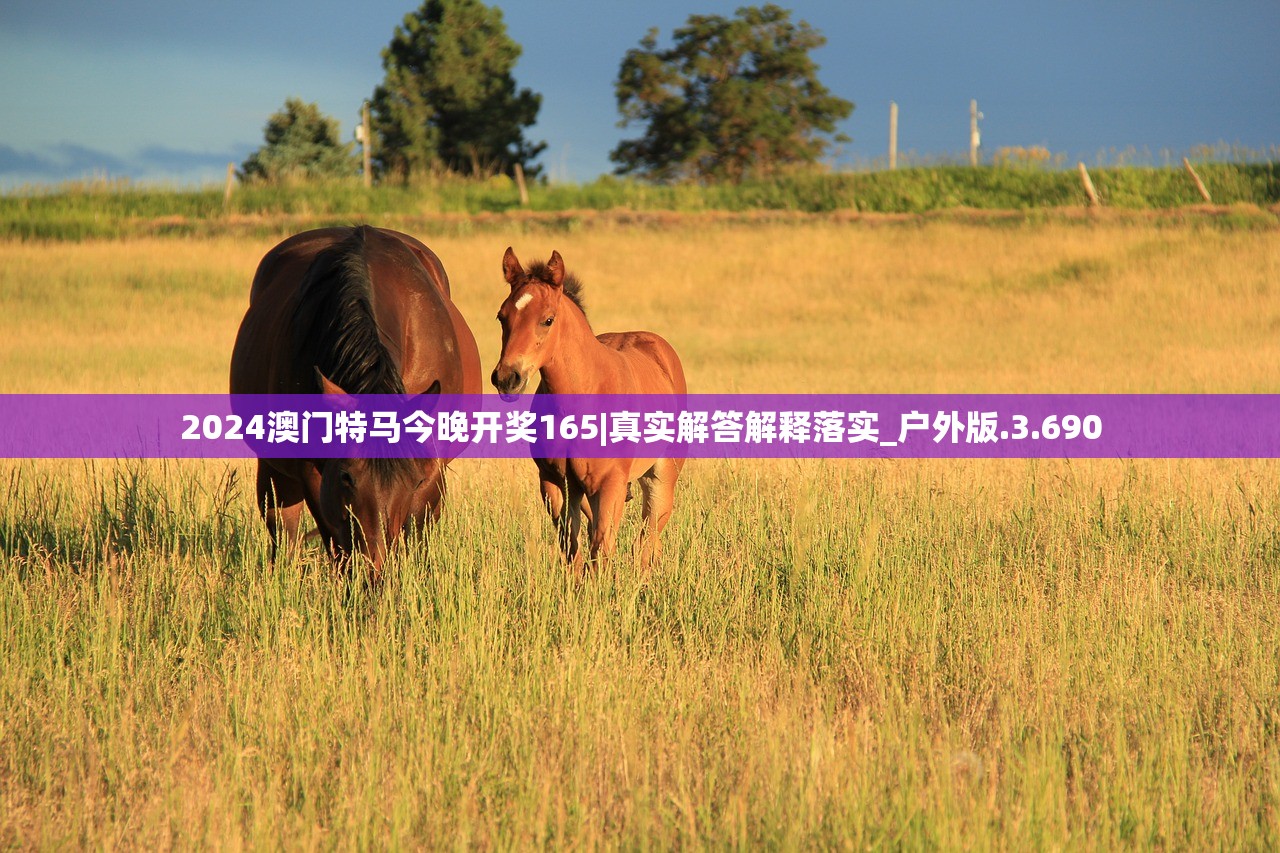 (实况中超为什么下架了)实况中超,赛场风云与未来展望 (实况中超为什么下架了)实况中超,赛场风云与未来展望