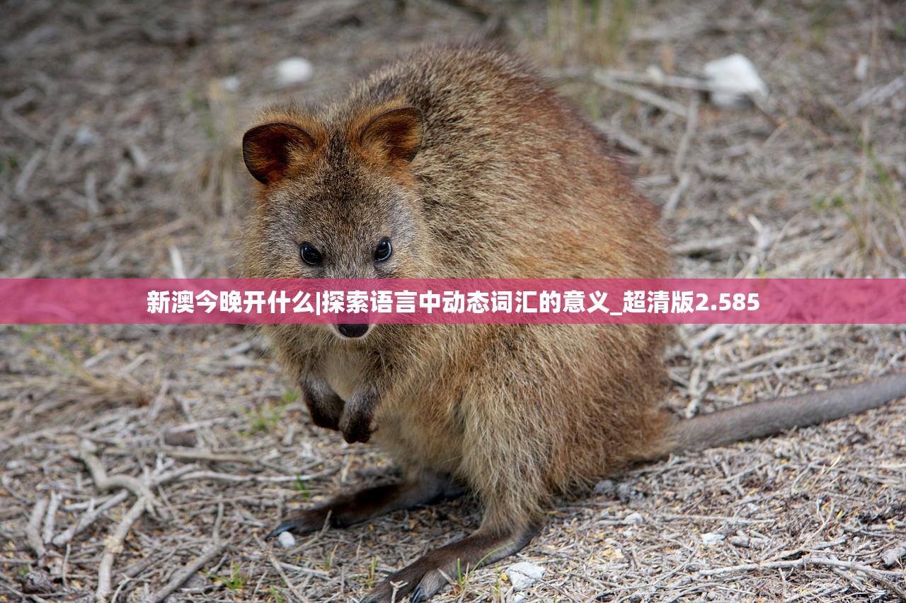 新澳门四肖期期准中特更新时间|探索澳门隐藏美食与文化_普及型.9.176