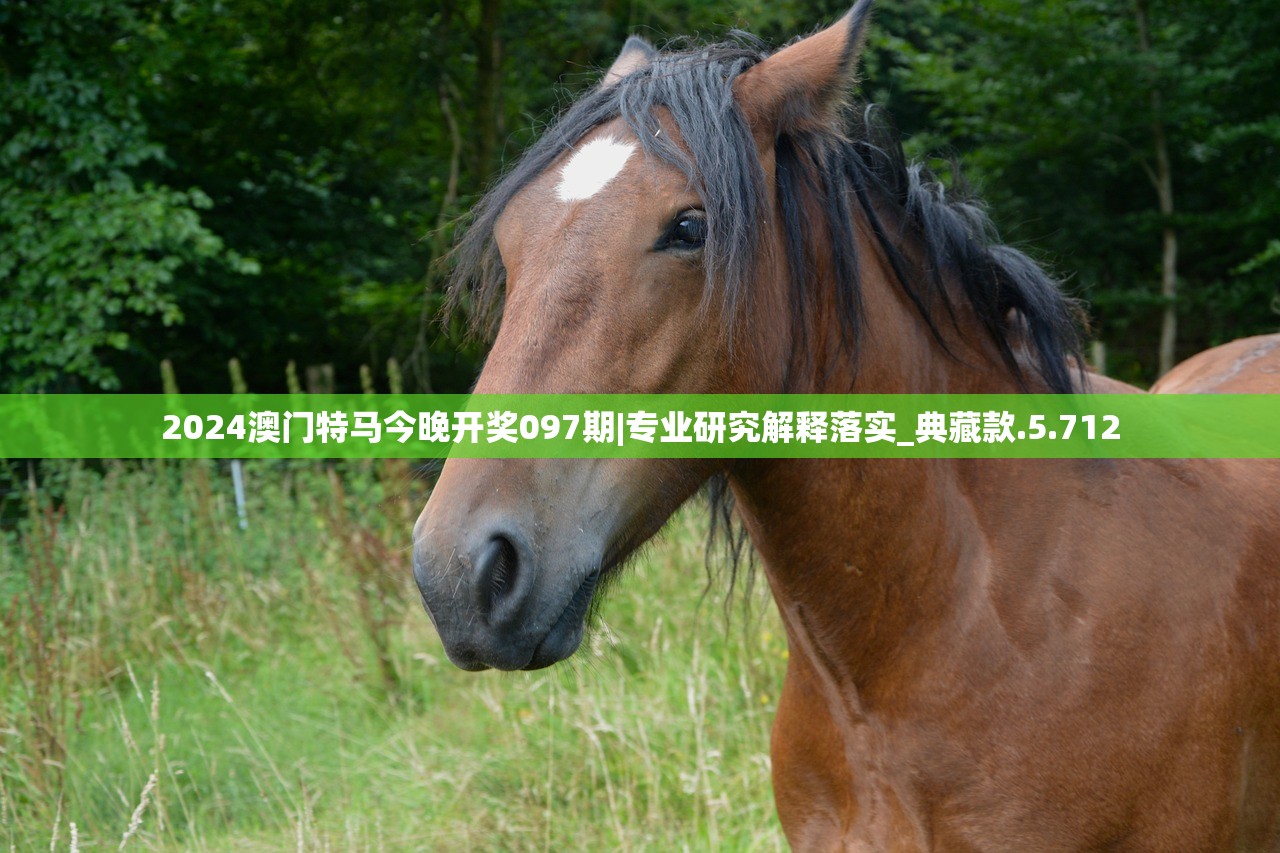 2024澳门特马今晚开奖097期|专业研究解释落实_典藏款.5.712