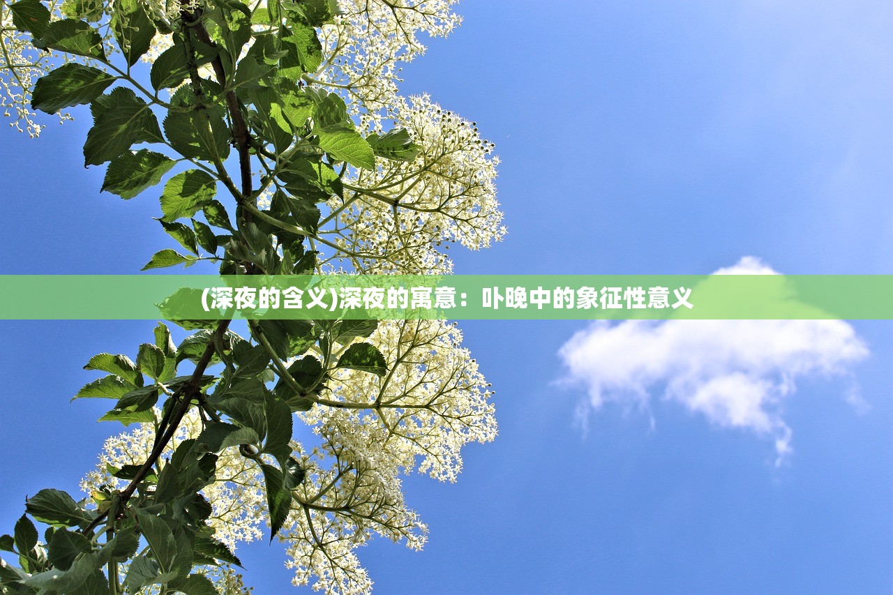 (全职高手堕落的荣耀5.2章)全职高手堕落的荣耀5.2，荣耀之路的挑战与机遇