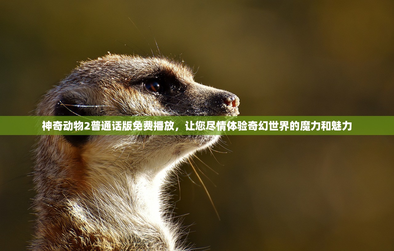 (五行风云界)五行风云，探寻古老智慧的奥秘与应用