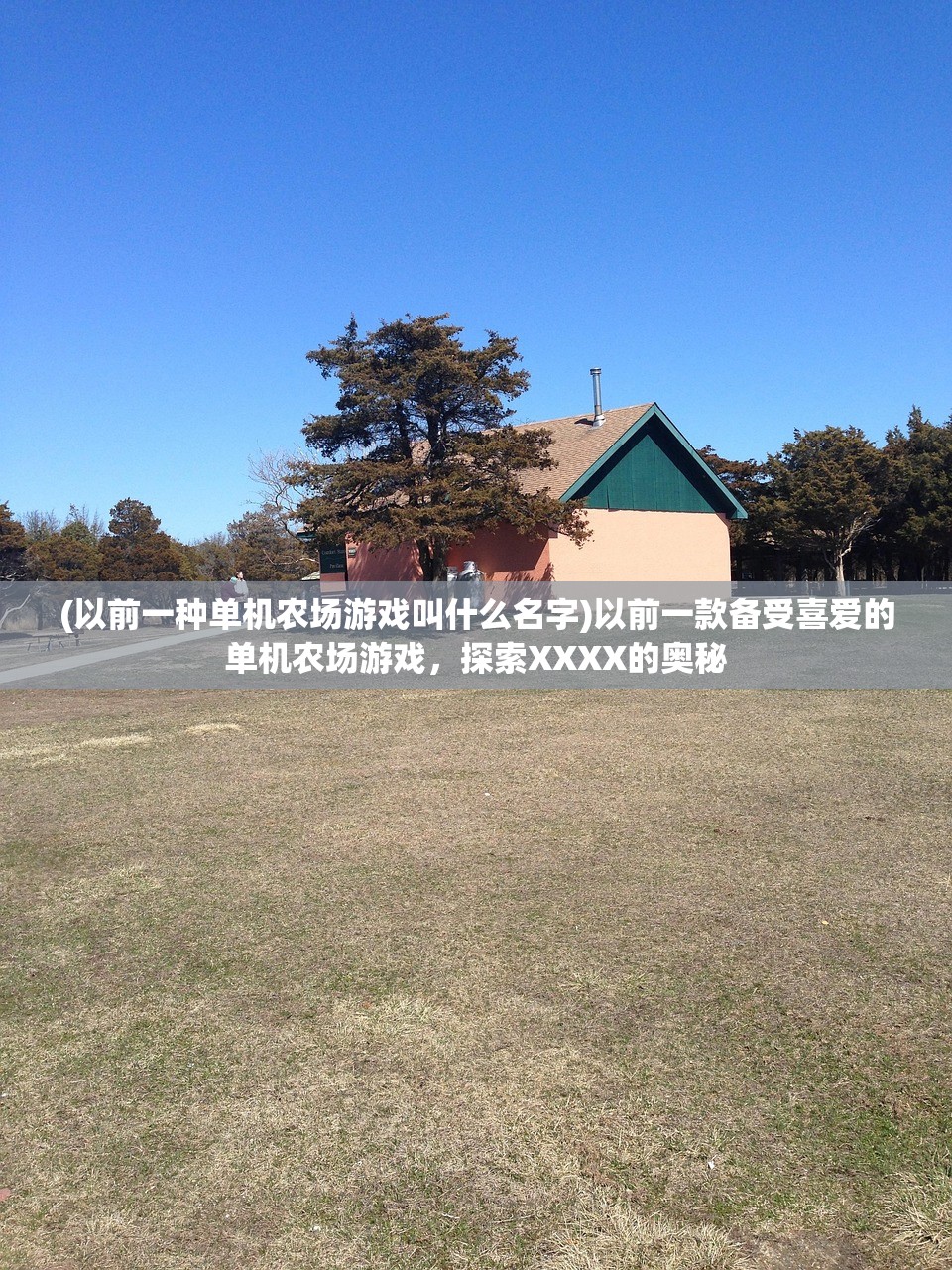 (迷雾侦探为什么没有后续)迷雾侦探下架原因深度解析