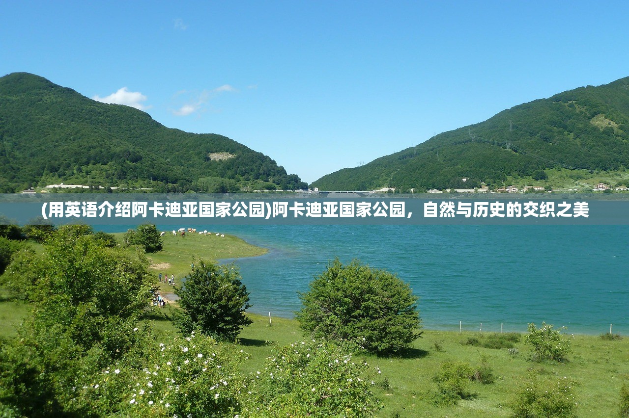 (逆向坍缩面包房行动)逆向坍塌面包房攻略大全及常见问题解答