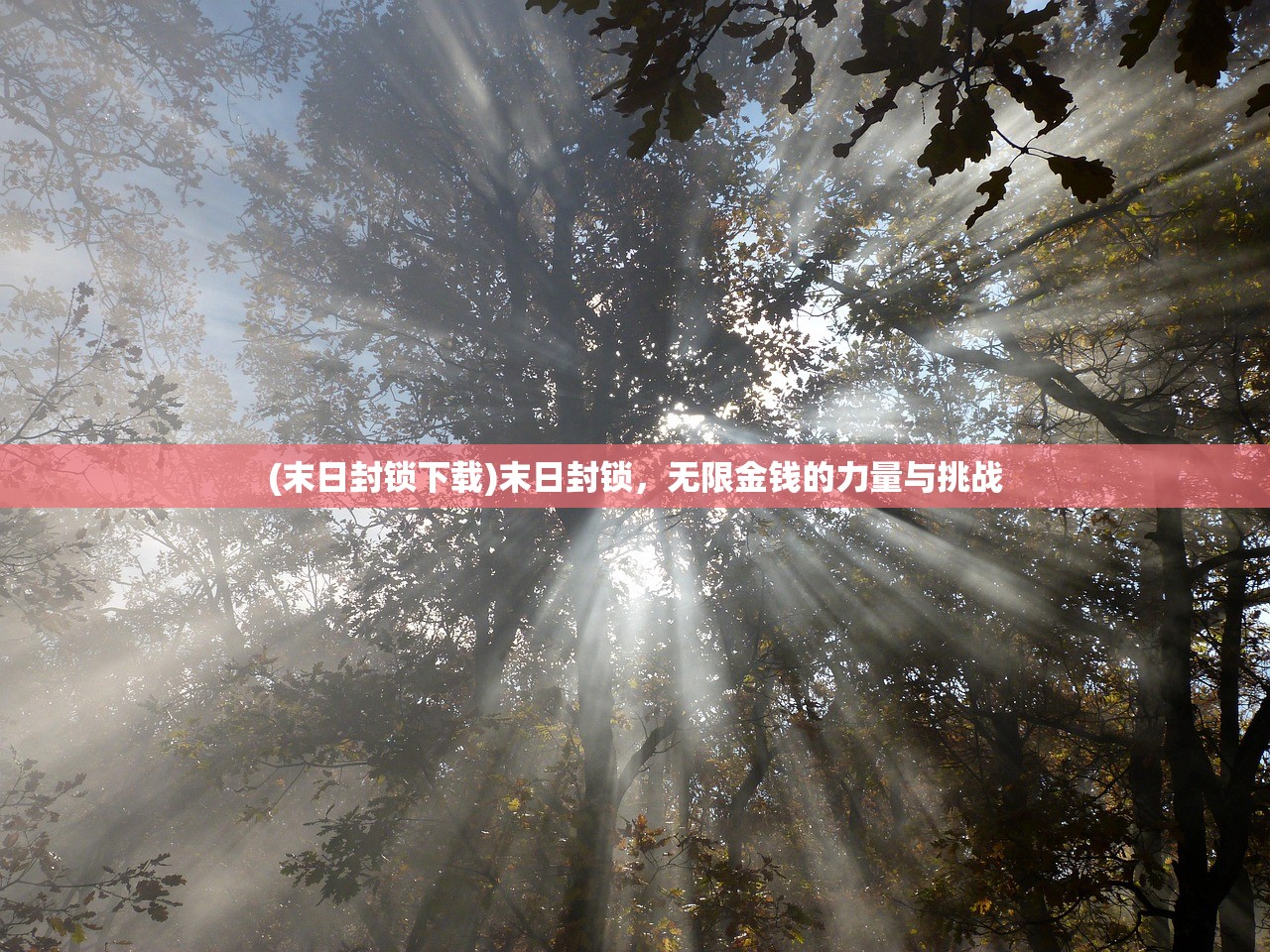 (赵薇被强制执行8488元引热议)赵薇被强制执行8488元，深度解析与常见问题解答