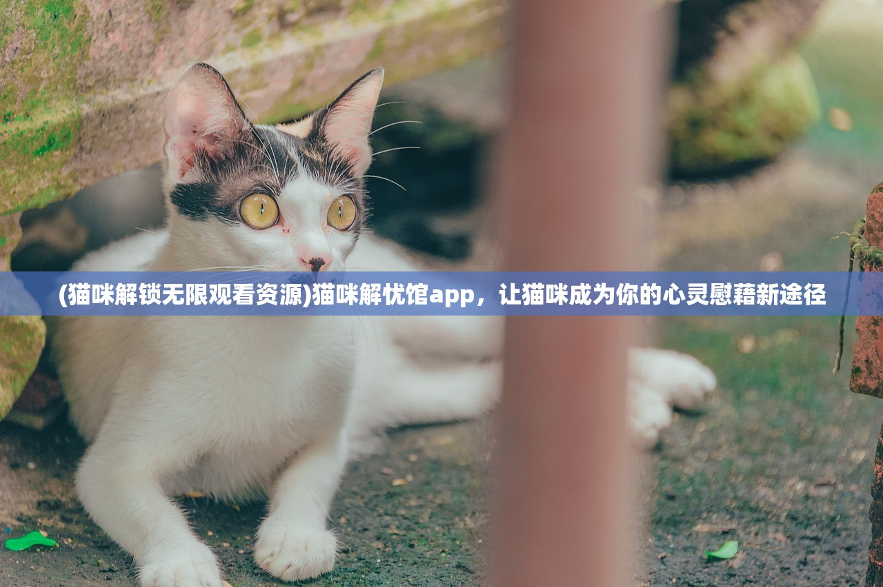 (无双斩传奇下载app)无双斩传奇，热血江湖的传奇之旅