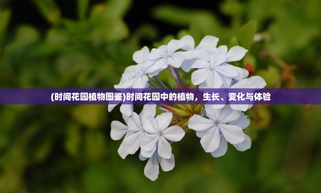 (将魂师红包版下载)将魂师红包版，游戏新风尚与互动体验探索