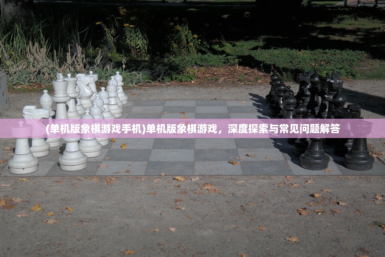 (龙武手游好玩不)龙武手游版本多样性解析