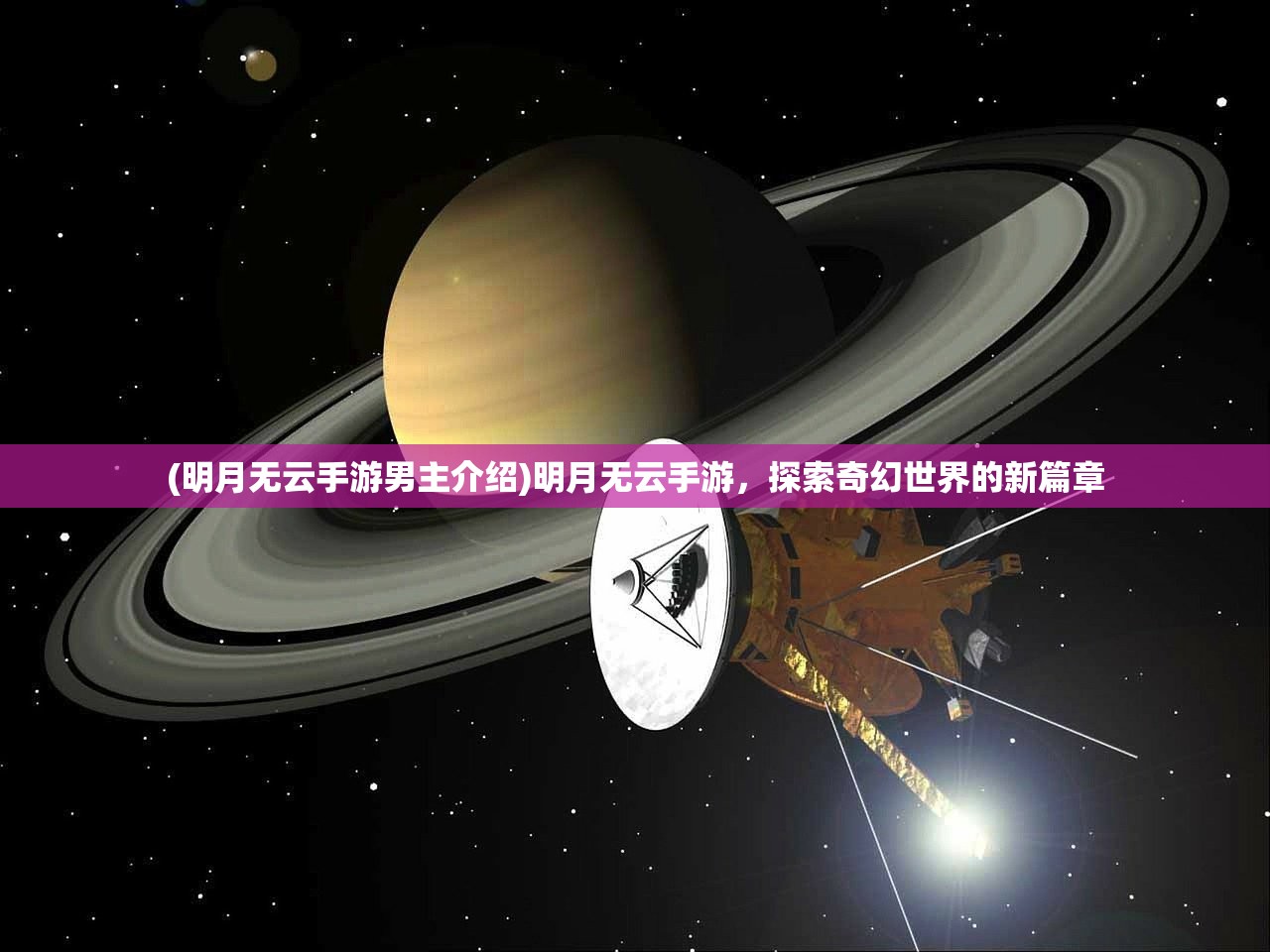 (高智力宠物)高智商大咖宠物医院无限金币，探索宠物医疗领域的顶尖技术与独特魅力
