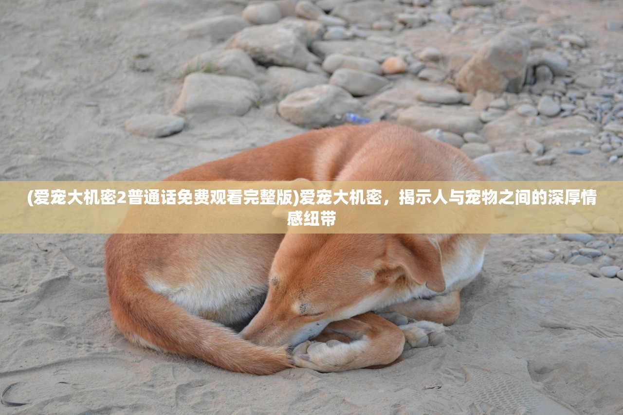 (东周烽火戏诸侯连环画)东周烽火戏诸侯，历史背后的真相与解读