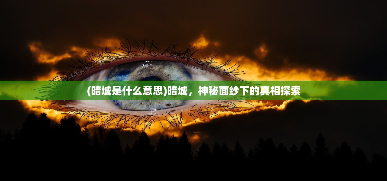 (寸心之争,生死忘矣翻译)寸心之争会员等级对照表及其深度解析