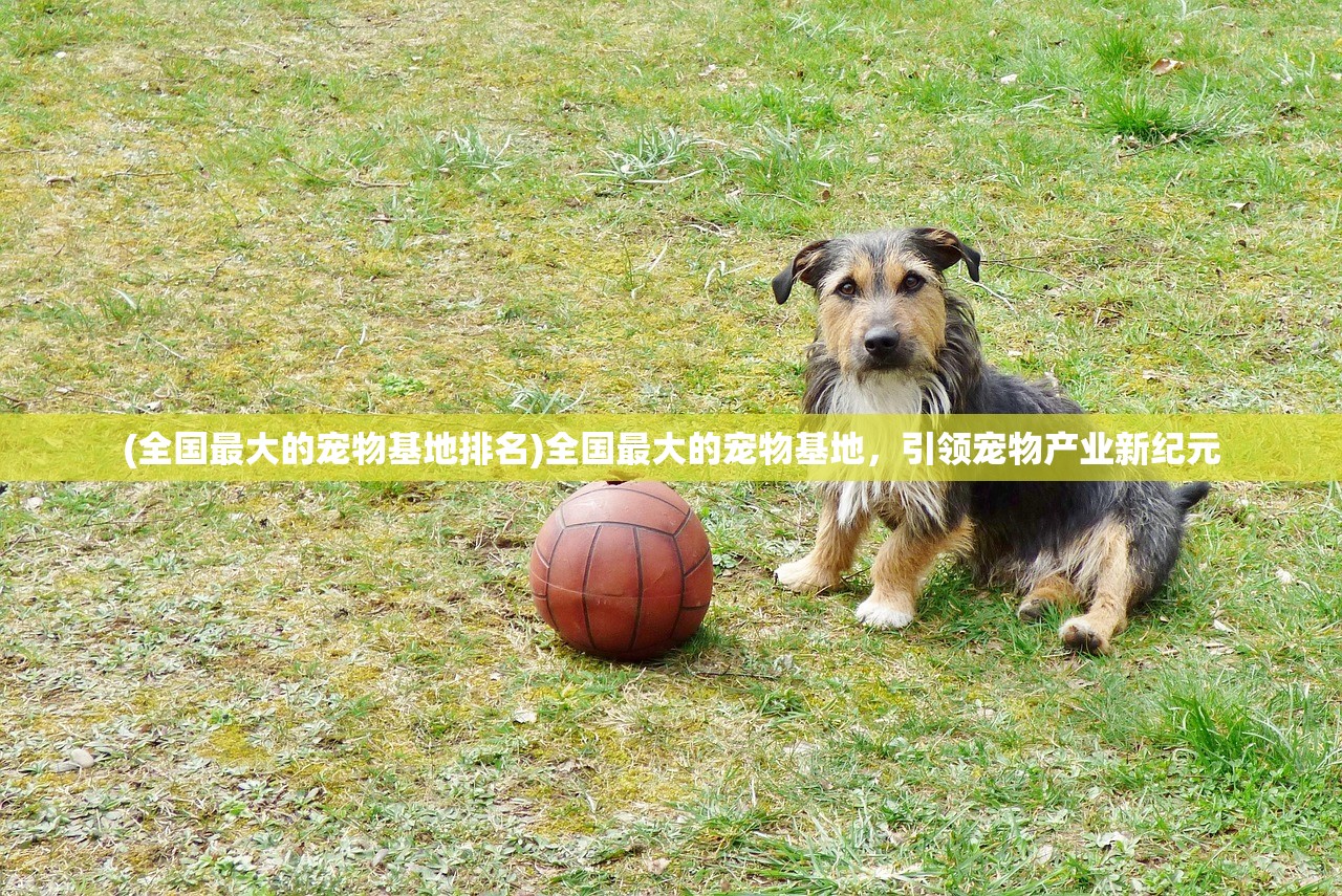 (剑踪手游官网)剑踪手游激活码是多少？深度解析及常见问答（FAQ）