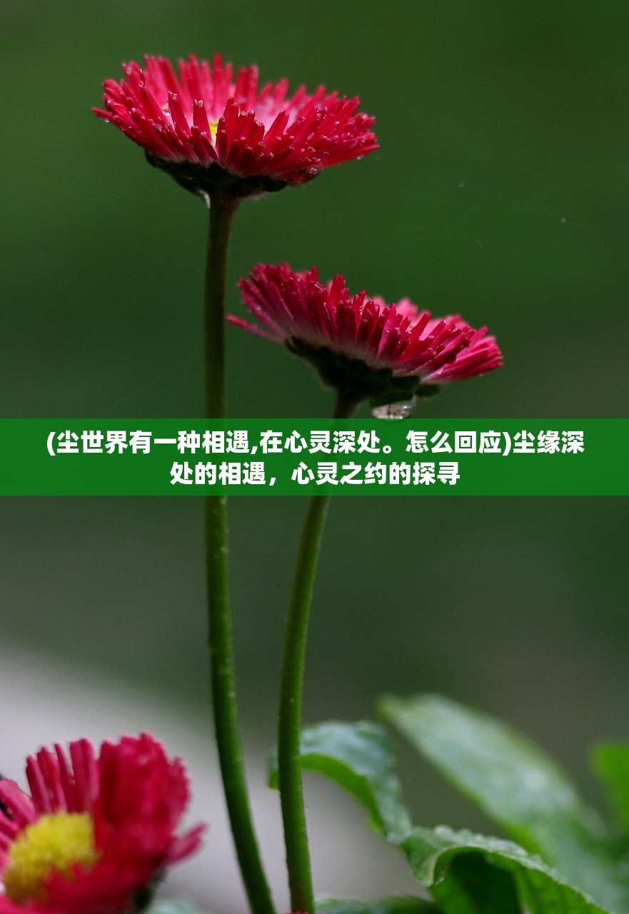 (王者争雄吧)王者争雄下架原因深度解析