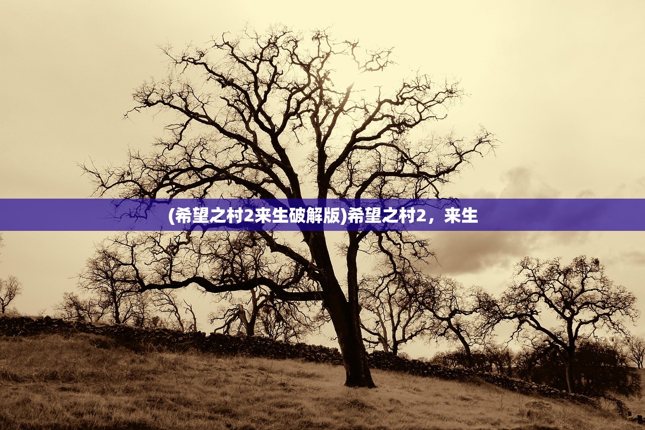 (希望之村2来生破解版)希望之村2,来生 (希望之村2来生破解版)希望之村2,来生