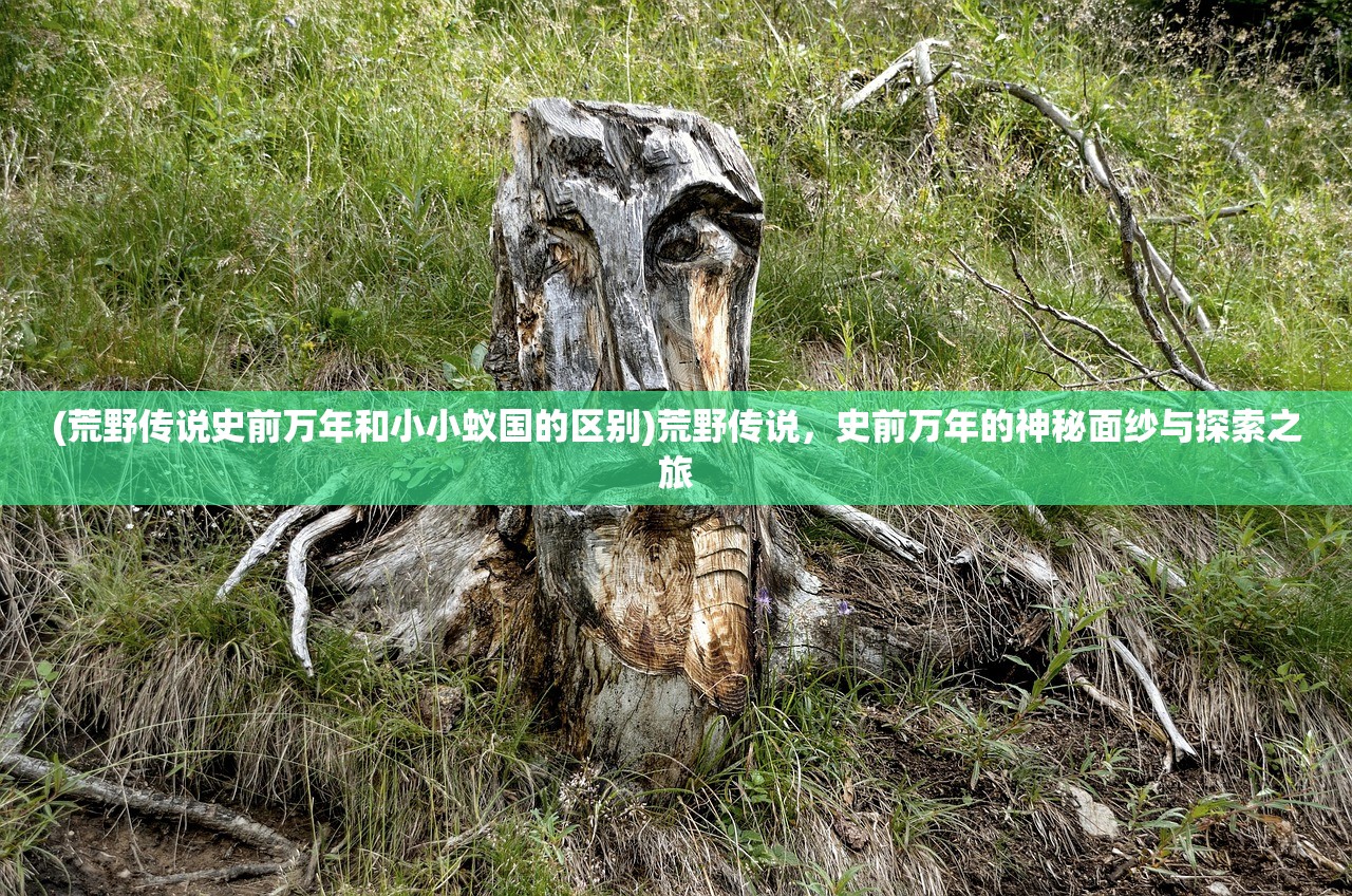 (重回五岁修仙小说)重回五岁修仙，再探仙侠世界之旅
