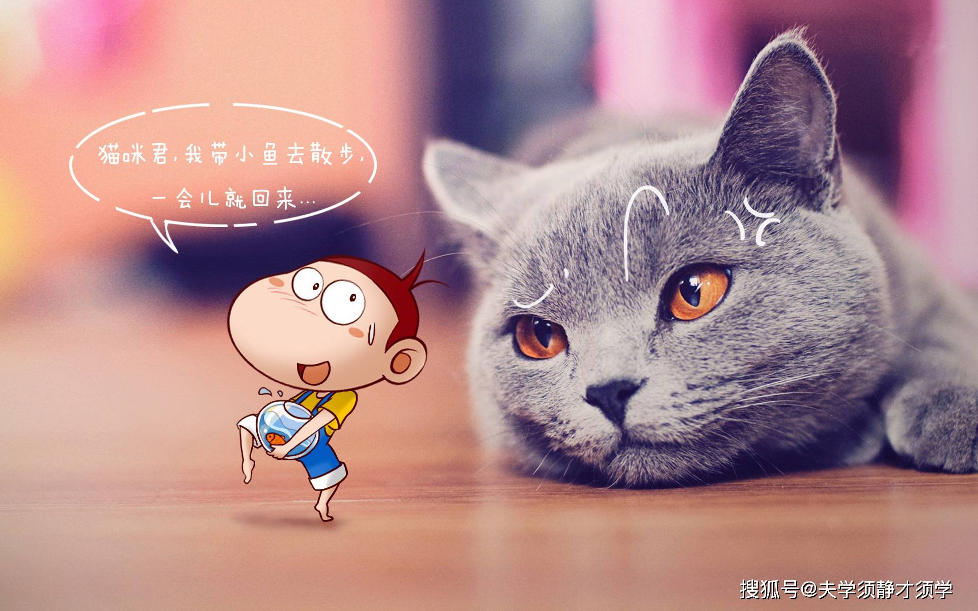 猫与朋友正版免费(暂未上线)-猫与朋友全解锁最新版2024下载v.8.93 猫与朋友正版免费(暂未上线)-猫与朋友全解锁最新版2024下载v.8.93